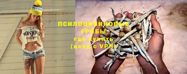 гашиш Заводоуковск