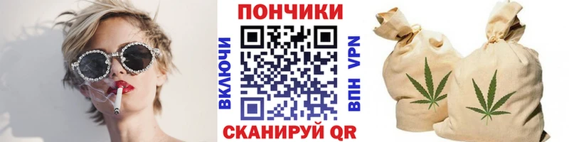 Бошки Шишки SATIVA & INDICA  Купить закладки  Дзержинский 